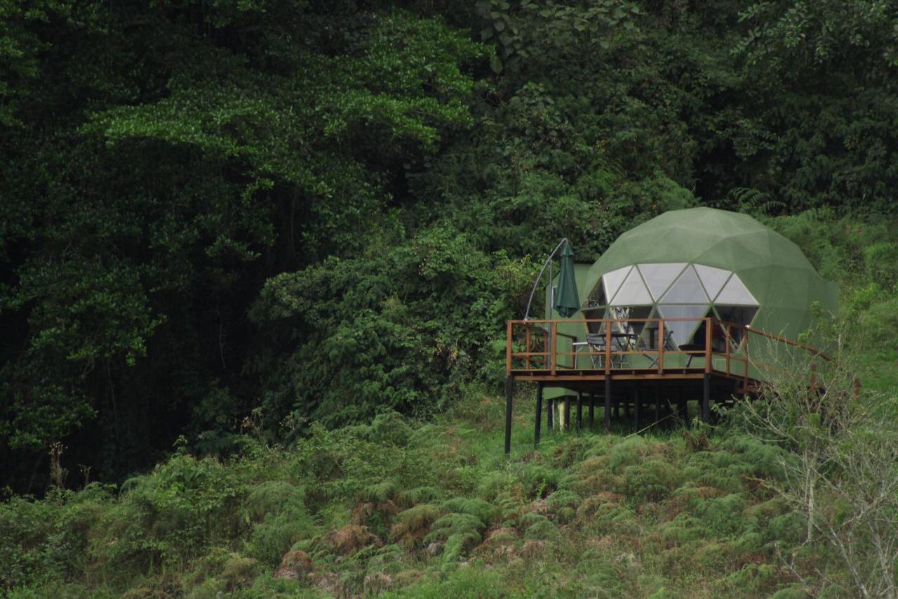 Cuspide Lodge - Choachí Kültér fotó