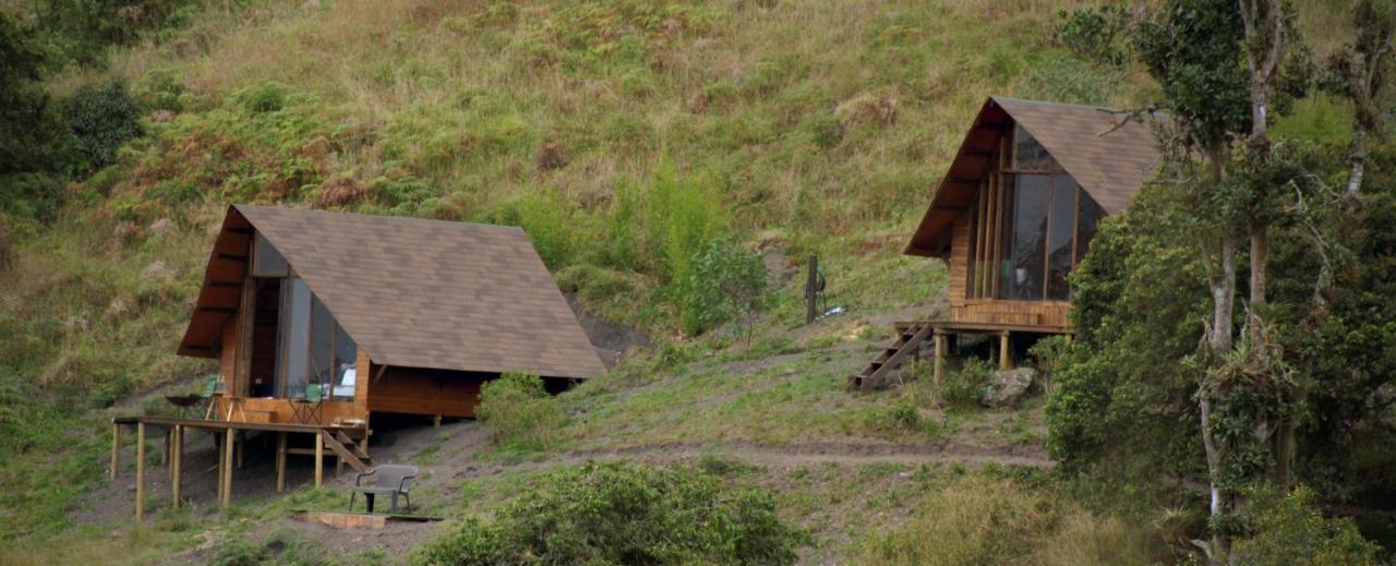 Cuspide Lodge - Choachí Kültér fotó