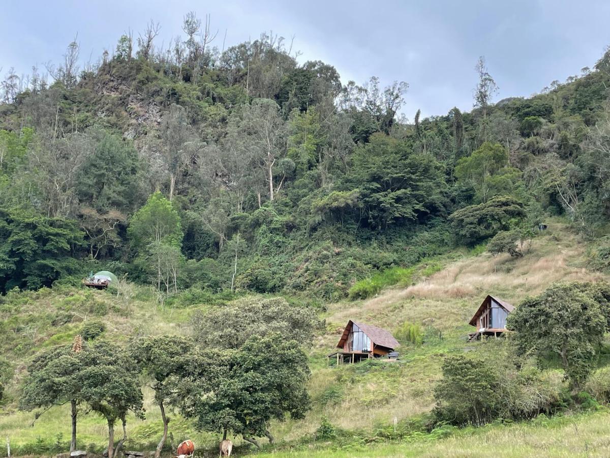 Cuspide Lodge - Choachí Kültér fotó