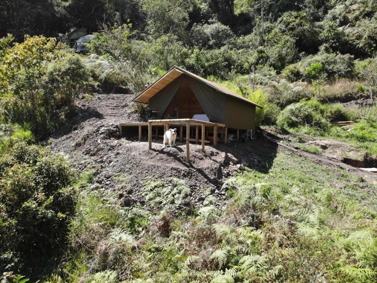 Cuspide Lodge - Choachí Kültér fotó