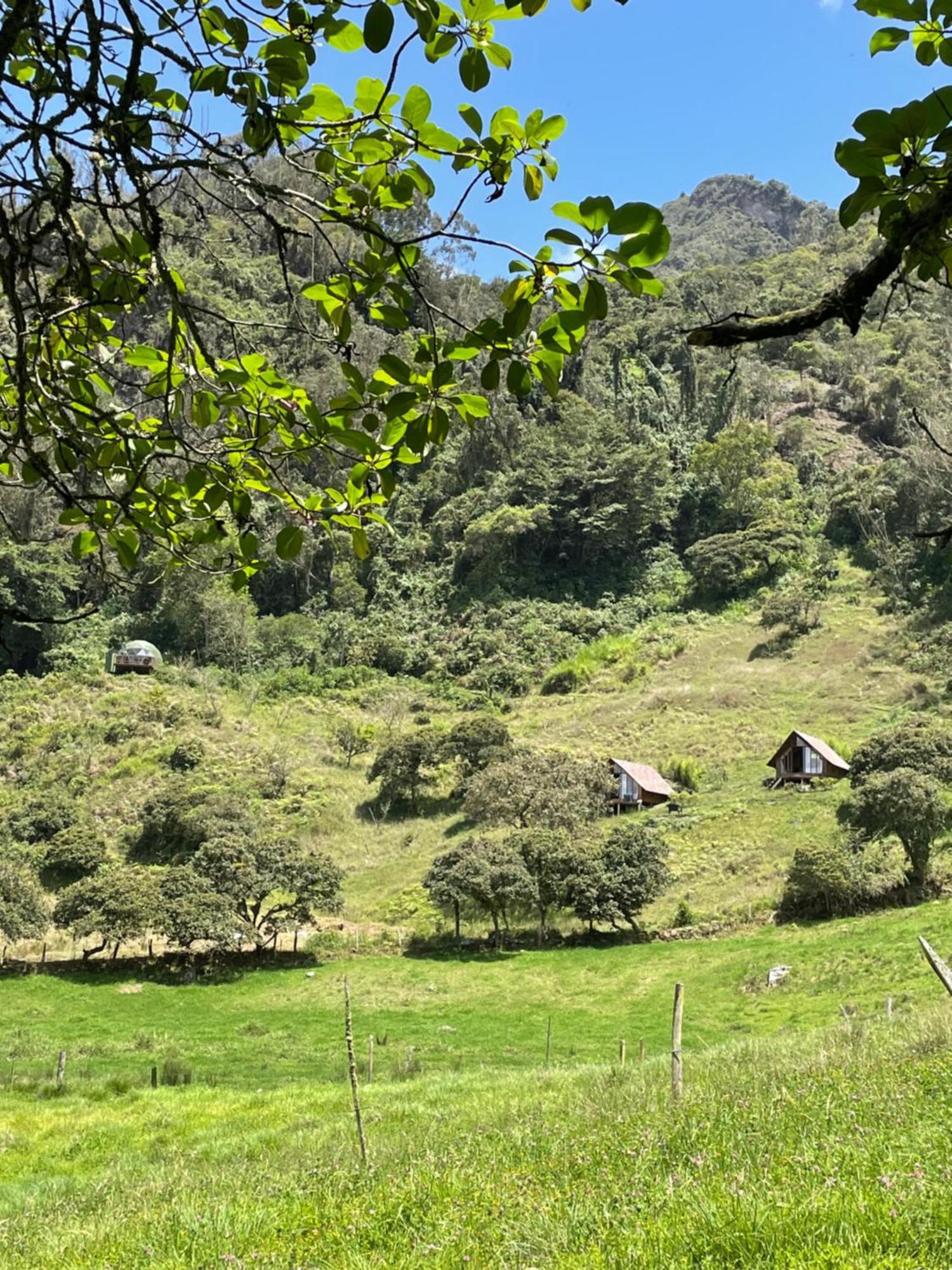 Cuspide Lodge - Choachí Kültér fotó